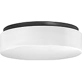 Progress Lighting One-Light 11" LED Drum Flush Mount, Black