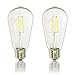 CLAXY Ecopower 3 Watt Vintage LED Bulb -- Pack of 2