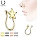 Set of 4 17GA Star Clip On Fake Non No Piercing Nose Rings