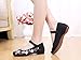 AvaCostume Embroidery Womens Classics Flats Rubber Sole Casual Shoes Black1 40