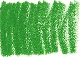 CREATIVE ART MATERIALS Caran D'ache Neocolor II Crayon - Grass Green (7500.22)