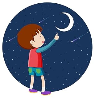 Livro O Menino e sua estrela cadente