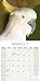 Cockatoos Calendar - Parrot Calendars - Bird Calendars - Calendars 2018 - 2019 Wall Calendars - Monthly Wall Calendar by Avonside