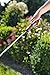 GARDENA 37114FP | Frost Proof 2-in-1 Fully Adjustable Nozzle