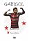 Livro GABIGOL