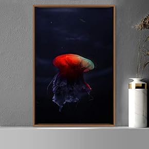 signwin Framed Canvas Wall Art Jellyfish Bedroom Colorful...
