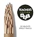 Sprout Wood-Cased Pencils | Teacher's Edition | HB Pre-Sharpened Graphite Plantable Wooden Pencils with flower, Herb & Vegetable Seeds | Gift for Teachers, Creative Kids & School Students | 32 Pack