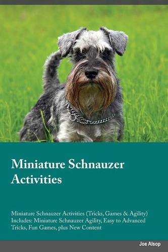 miniature schnauzer agility