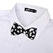 BMC 5 pc Mens Mixed Color Assorted Pattern Formal Pre-Tied Adjustable Neck Tie Bowties - Set 4: Wacky Wednesday