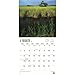 2017 National Parks Calendar - 12 x 12 Wall Calendar