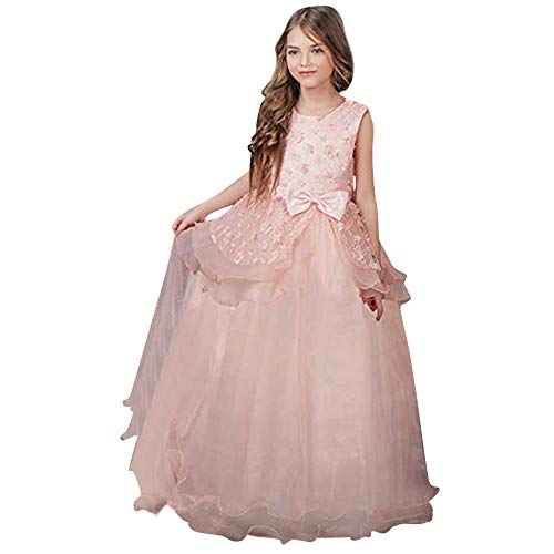 Baby Girl Sleeveless Flower Rose Dress Skirt,Charberry Bridesmaid Pageant Gown Birthday Party Wedding Dress