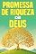 Livro Promessa de riqueza de Deus (A promessa de Deus)
