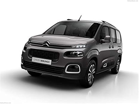 berlingo business 2019