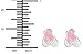 Hypoallergenic Sterling Silver Pink Ballet Slippers Stud Earrings for Kids (Nickel Free)