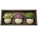 Mildenhall Artificial Plastic Mini Plants for Decoration - Topiary for Versatile Home Decor with Attractive Solid Wood Shelf Included - Set of 3 Plants with Shelf