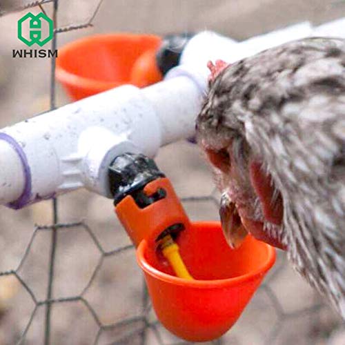 Verbena HOT – Bird Feeding – Automatic Drinker Pet Bird Water Bottle Cups Parrot Quail Bathing Pigeons Cage Cup Feeder Chicken Bowls Drinking Water Bowl – by GTIN – 1 Pcs