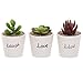MyGift 3-Inch Small White Ceramic Planter Pot with Live, Laugh, Love in Black Script, Decorative Mini Succulent Plant Holder, Home Office Decor Wedding Gift, 3 Piece Set