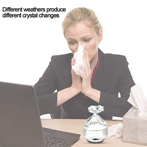 Teepao Weather Forecast Bottle, Storm Glass Water Drops Weather Forecast Bottle Barometer Creative Stylish Weather Station Forecaster Storm Glass Weather Predictor Crafts Home Decoration
