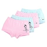 Defitck Cartoon cute Little Girls Underwear Briefs Panties Set (2-4year, 2068)