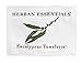 Herban Essentials - Eucalyptus Wipes & Towelettes - Essential Oil Wipes for Make Up, Hands, Face & Body - Travel Size Essentials and Toiletries - Natural, Individually Wrapped and Disposable (7 count)
