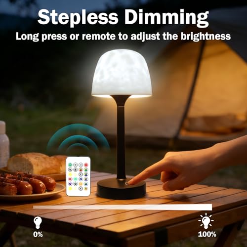 GUIGUZHJ Lámpara de ducha impermeable e inalámbrica, luz de ducha recargable con 16 efectos de onda de color, lámpara de baño con control táctil y mando a distancia, iluminación ambiental