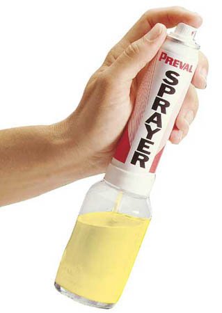 Preval spray system paint sprayer
