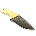 Yooyo Handmade Damascus Steel Knife- Decorative Knives, Camping Survival Knife, and Hunting Knife with Exquisite, Sharp Blade with Real Leather Sheath