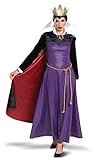 Disguise Women's Evil Queen Deluxe Adult