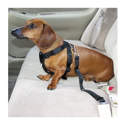 Guardian Safety Harness Xsm 7-16 In Girth Black