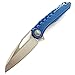 Eafengrow EF39 Folding Pocket Knife with D2 Steel Blade Titanium Alloy Handle Frame Lock Camping Tactical Tool for Outdoor Hiking Survive (EF39-blue)