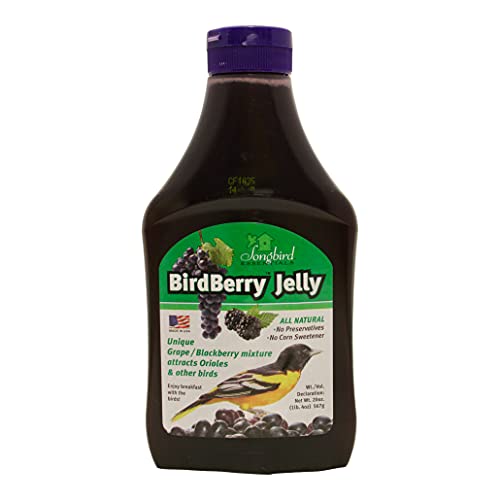 20 Ounce BirdBerry Jelly Squeeze Bottle Bird Feeder Jelly, Grape and