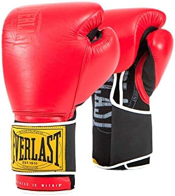 everlast 12 oz gloves
