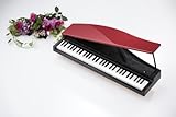 Korg MICROPIANORD