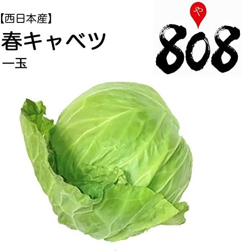 Amazon 西日本産 春キャベツ 1個 送料別 808青果店 キャベツ 通販