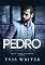 Livro PEDRO: Livro 1 (Família Fontes)