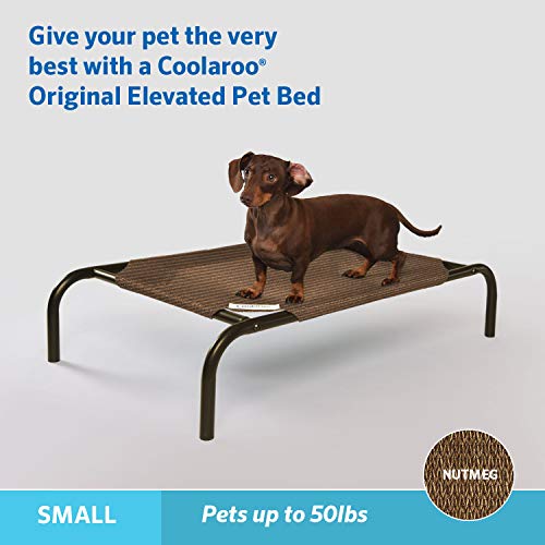 Coolaroo The Original Cooling Elevated Pet Bed, Small, Nutmeg Pricepulse