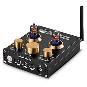 Douk Audio P1 Bluetooth 5.0 Vacuümbuis voorversterker Hi-Fi Valve Headphone Amplifier Wireless Receiver Audio Decoder…