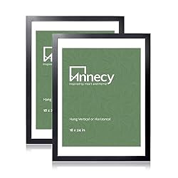 Annecy 18x24 Picture Frame Black（2 Pack）, 18 x