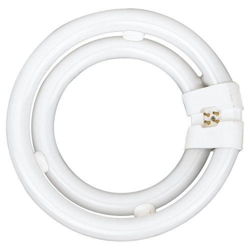 Sea Gull Lighting 97043 2C55 - Double Circline Fluorescent Bulb, 55-Watt