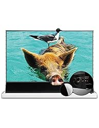 VIVIDSTORM-Projector Screen with Stand S PRO P100