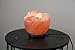 Natural Himalayan Salt Lamp Bowl Hand Crafted by Ambient Authentic Natural Crystal Salt Rock with UL Listed Dimmer Switch…