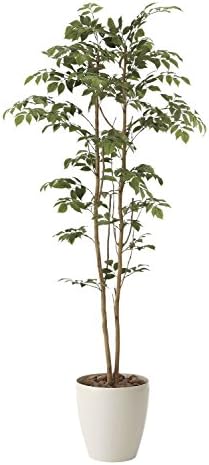 造花アート 観葉植物 マウンテンアッシュ1 6 誕生日祝い 結婚祝い 結婚記念日 出産