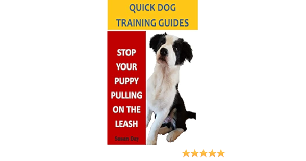 how to stop a puppy from pulling