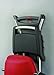 Napoleon s TQ285X-RD-A Travelq 285 Portable Gas with Scissor Cart, Red