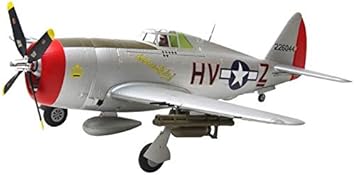 p 47 thunderbolt rc plane