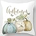 FOOZOUP Halloween Pumpkin Pillow Covers Happy Fall Yall Thanksgiving Decorative Cotton Blend Cushion Cover 18 x 18 inch for Sofa Couch (Set of 2)