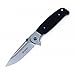 Ganzo G7522 Folding Hunting Pocket EDC Handle Knife (Black)