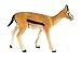 Safari Ltd Wild Safari Wildlife - Thomson's Gazelle - Realistic Hand Painted Toy Figurine Model - Quality Construction From Safe and BPA Free Materials - For Ages 3 and Up