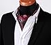 SetSense Men's Floral Jacquard Woven Self Cravat Tie Ascot One Size Red / Gray / Black