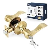LOQRON Wave Style Door Lever Keyed Entry Door